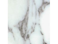 Arabescato White Marble