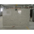 Imported Light Giallo Santa Cecilia Granite Slabs