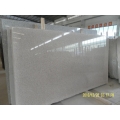 G681 Shrimp Pink Granite Slabs and Floor Tile