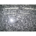 India Oyster Pearl Granite Slabs