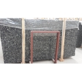 China Black Fossil/ Sea Shell Black Marble Slabs