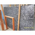 China Black Fossil/ Sea Shell Black Marble Slabs