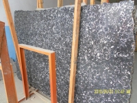 Black Fossil Marble